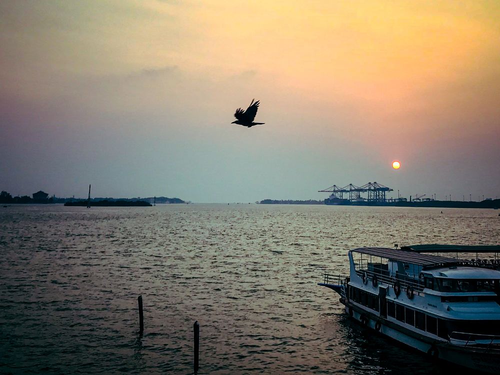 Photograph by Harsha Devalla