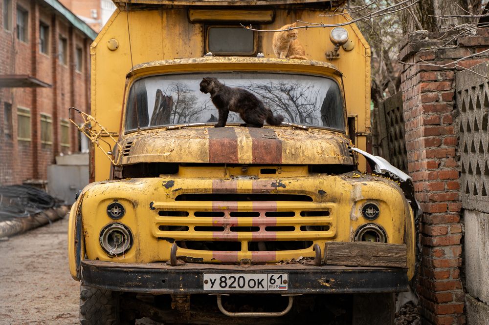 Photograph by Александр Пиленгас