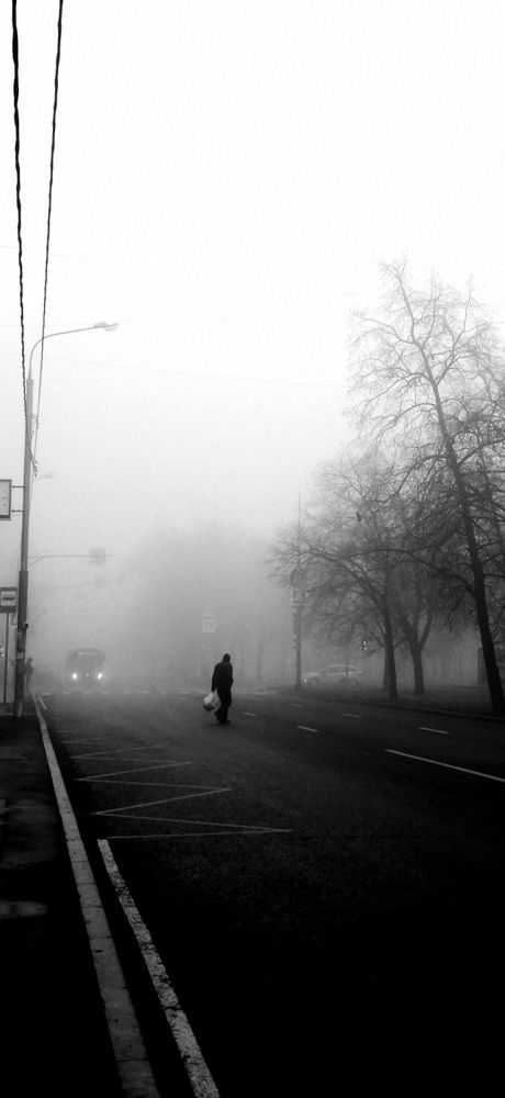 Photo #6761341