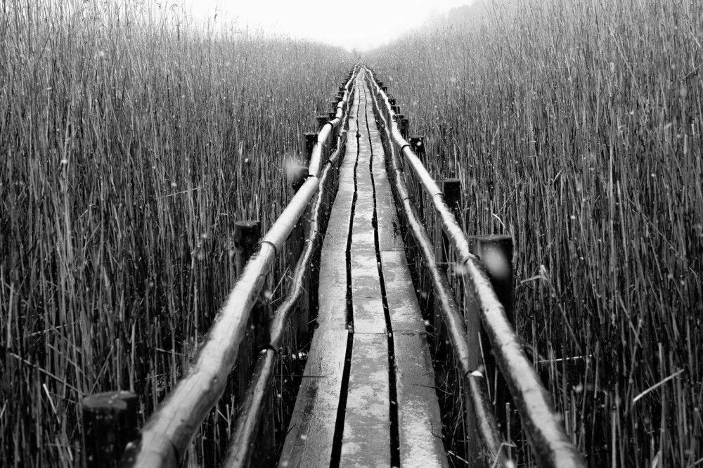 Photograph by Дима Захаров