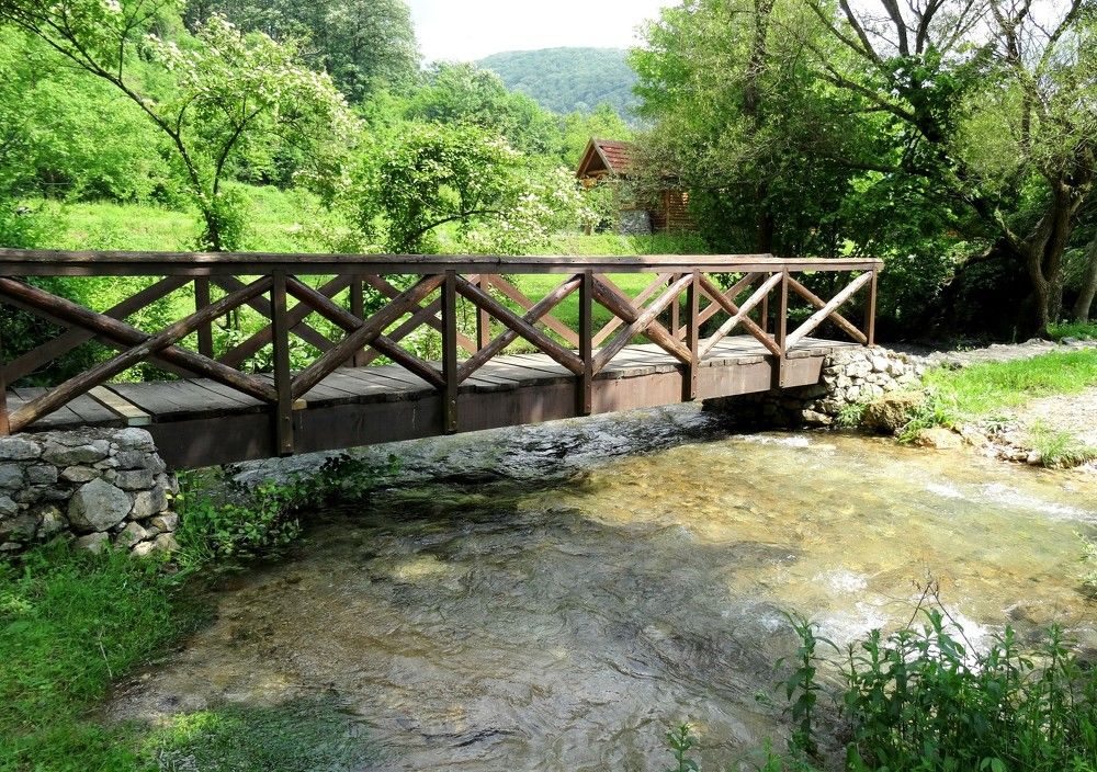 Photograph by Марина Раткун