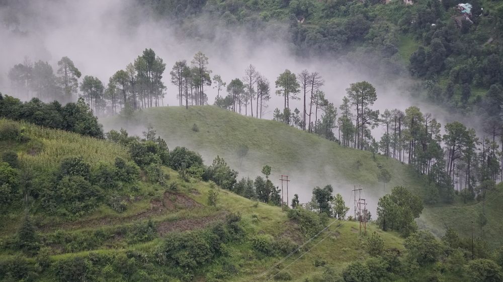 Photograph by Sourav Bandhu Das