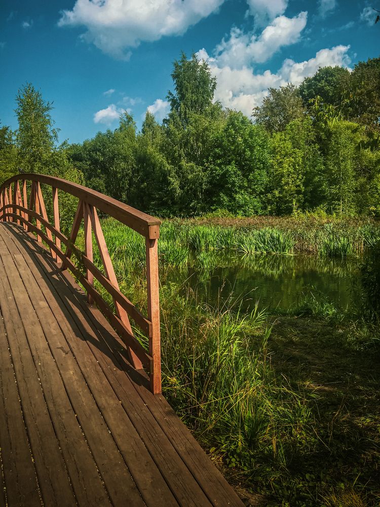 Photograph by T.Ю. Гринько