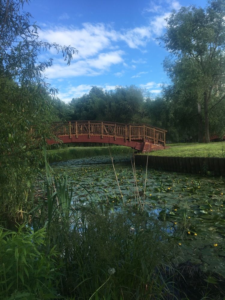 Photograph by Татьяна Гринько