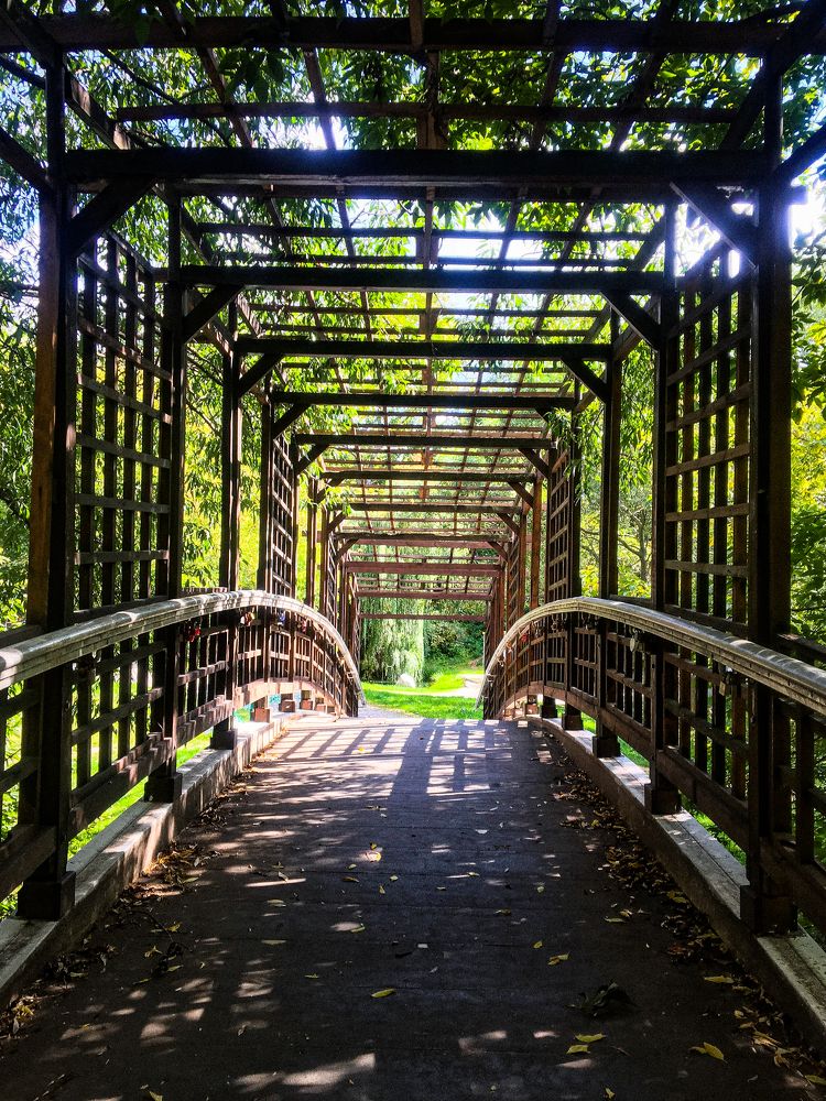 Photograph by Татьяна Гринько