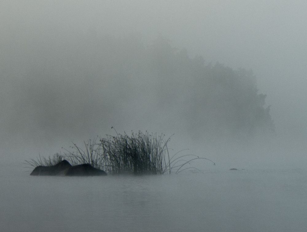 Фотография автора Александр Собокарь