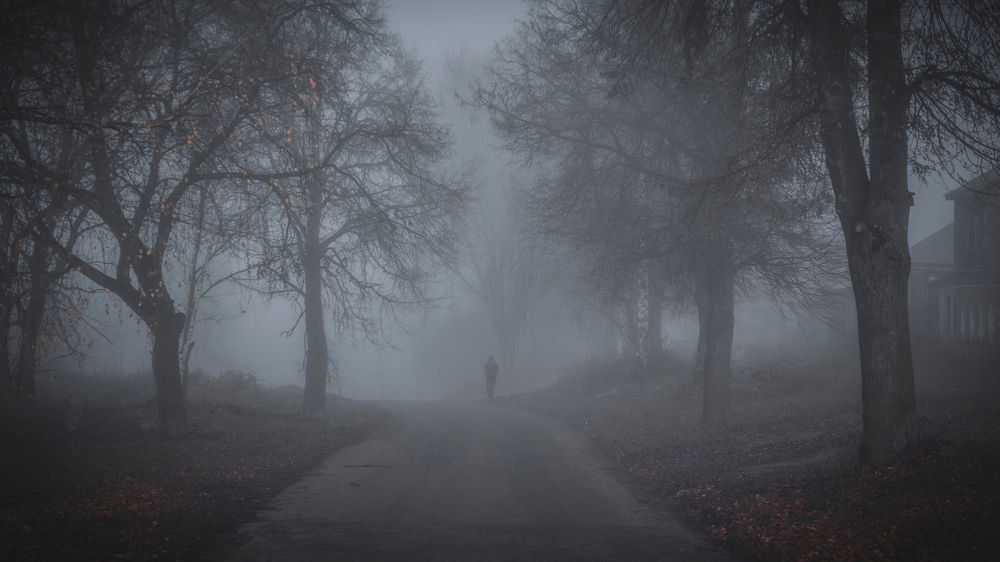 Photograph by Romanov Denis