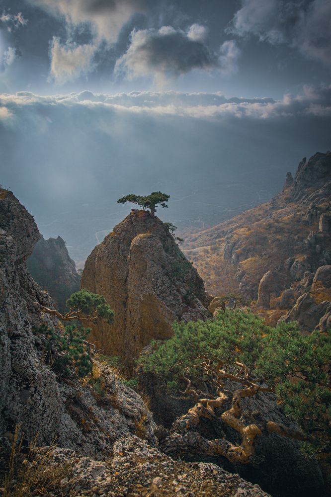 Южная Демерджи, Крым