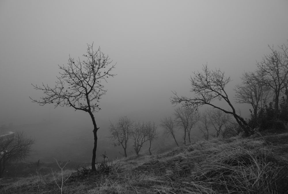 Photograph by Ahmed Saad