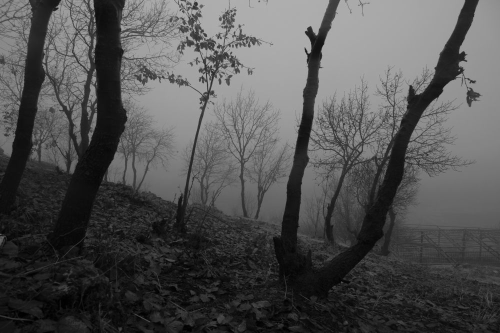 Photograph by Ahmed Saad