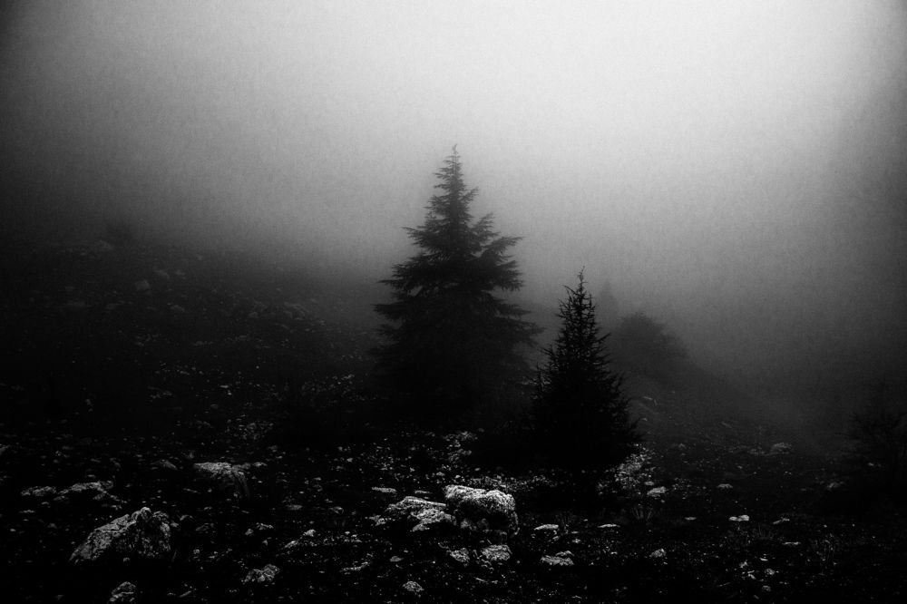 Photograph by Rachid Ayadi