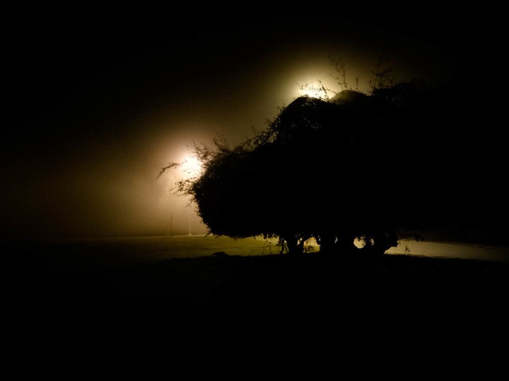 Photograph by Sai Vamsi Krishna Vintha