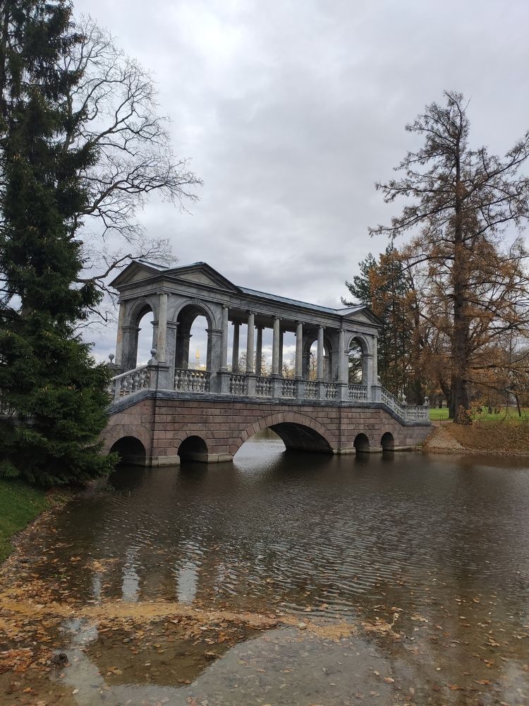 Photograph by Людмила Никитина