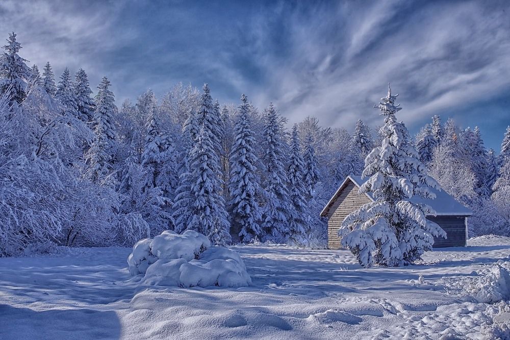 Photograph by Irena Luna