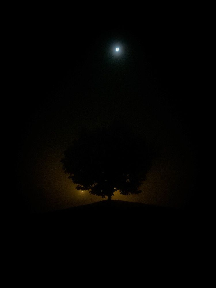 Photograph by Sai Vamsi Krishna Vintha