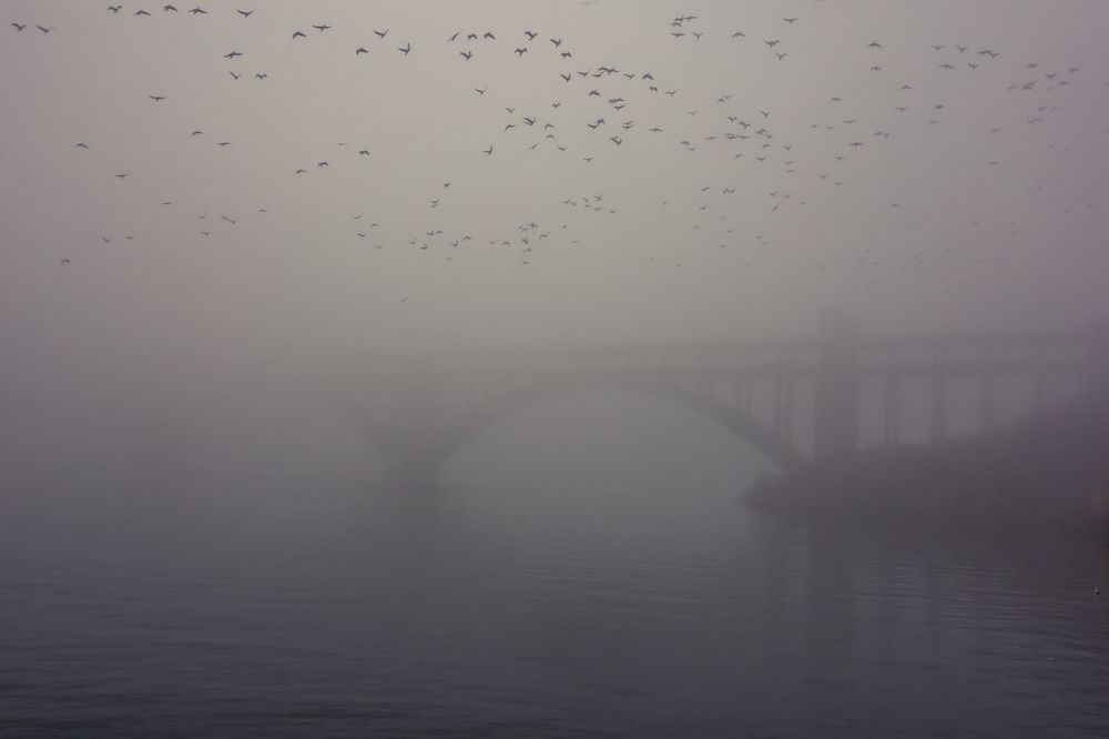 Photograph by Сергей Зуденко