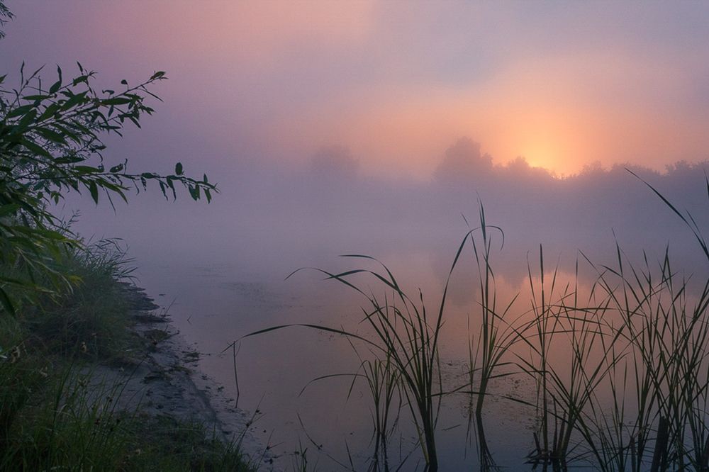 Photograph by Павел Васильев