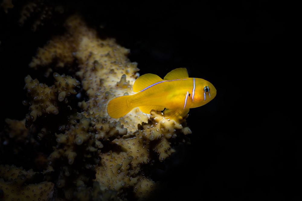 Photograph by Sergey Zaytsev