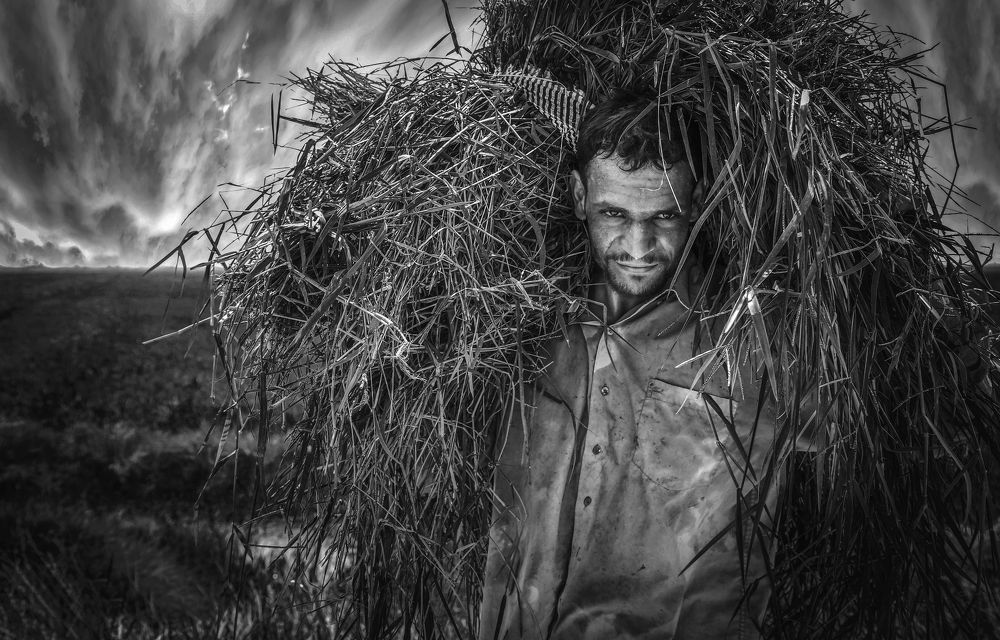 الانسان والعمل