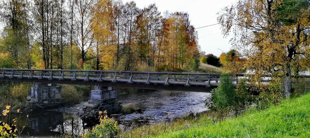 Photograph by Лариса Неудачина