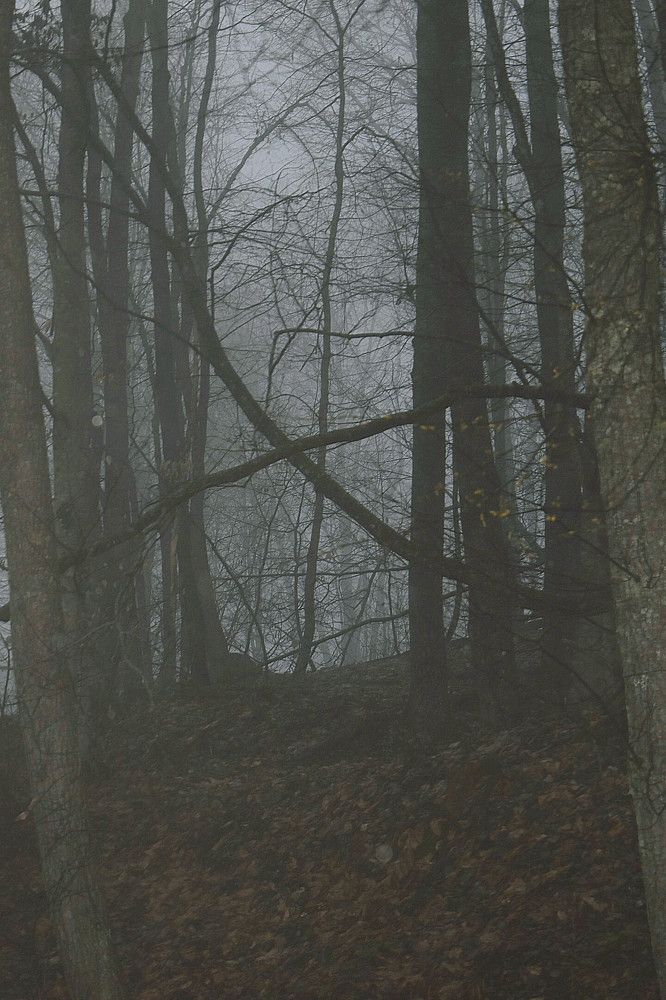 Photograph by Екатерина Гордеева