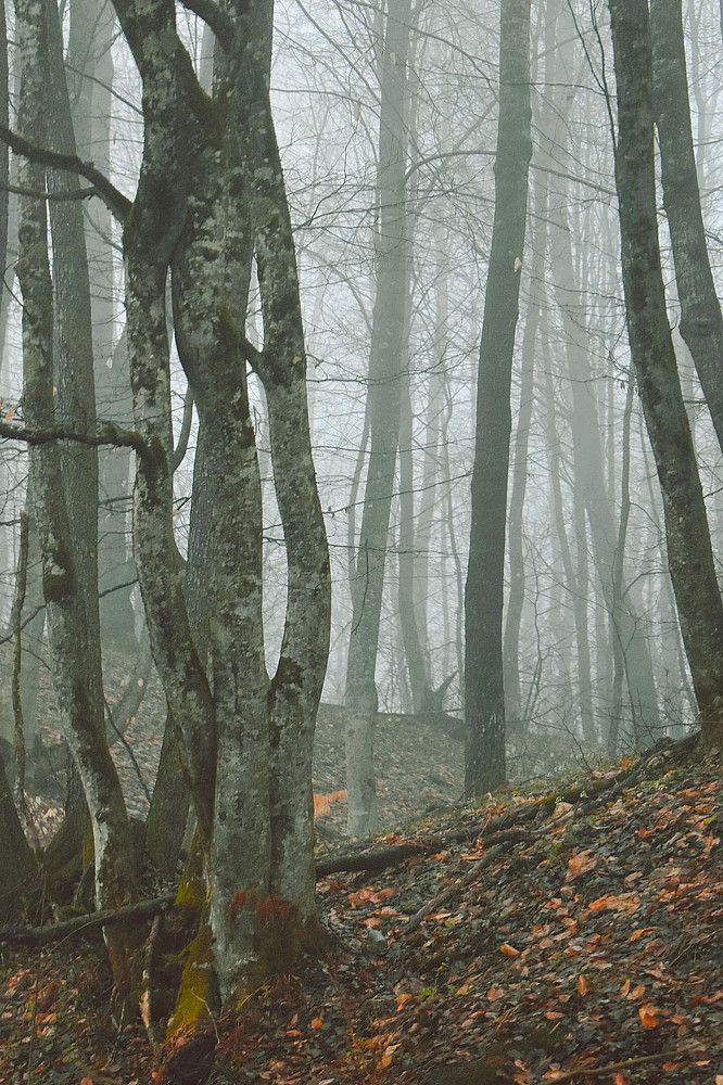 Photograph by Екатерина Гордеева