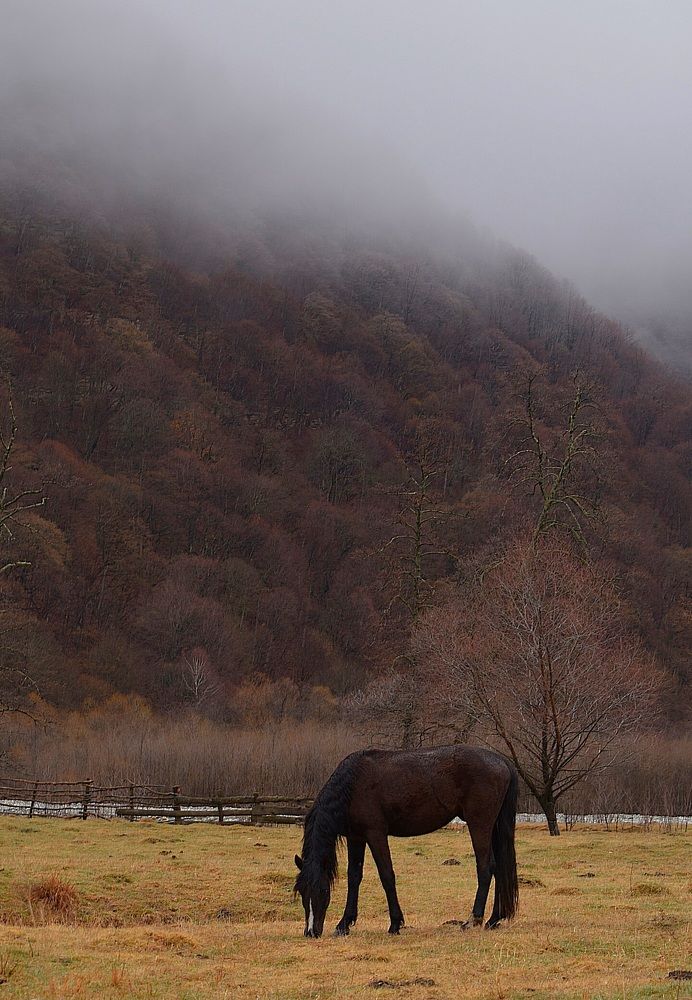 Photograph by Екатерина Гордеева
