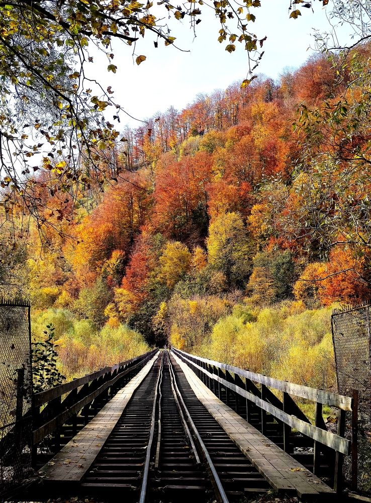 Photograph by Инна Макарчук