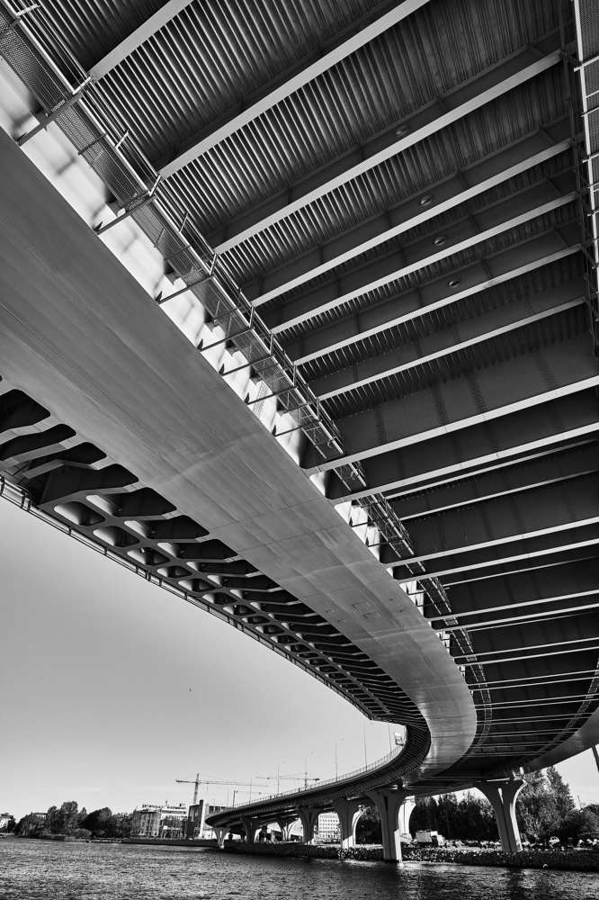 Photograph by Михаил Мамаев