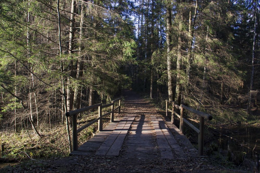 Photograph by Анна-Лаймуте Милошевич