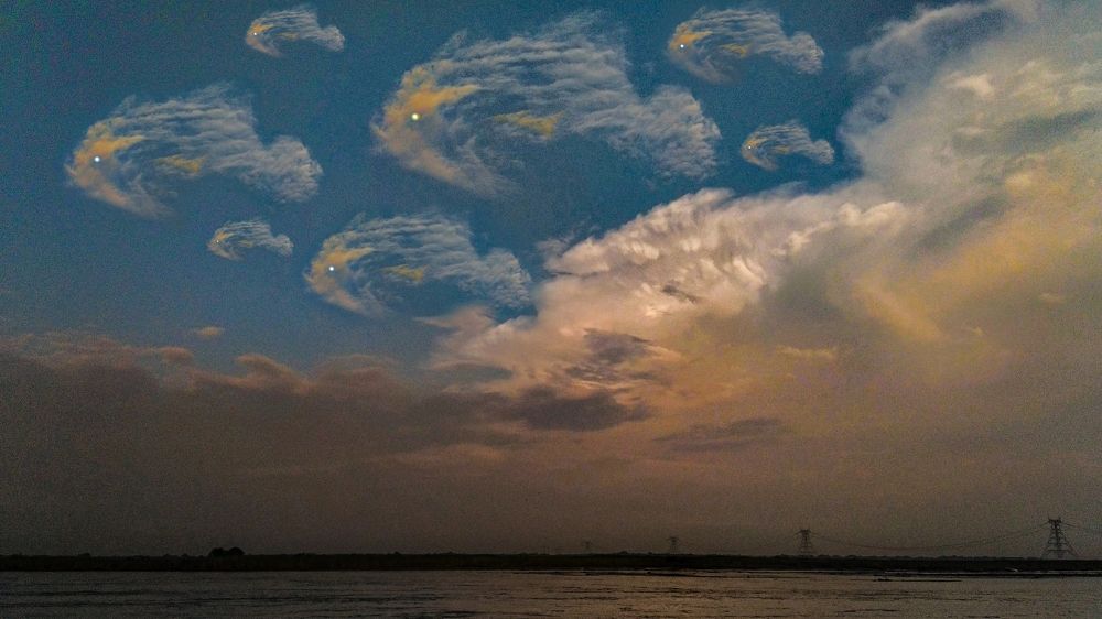 The fishes in the ocean of the blue sky