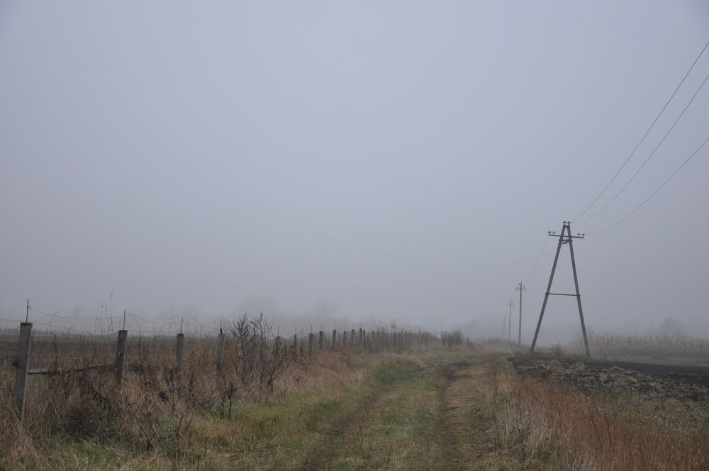 Photograph by Галина Лысых