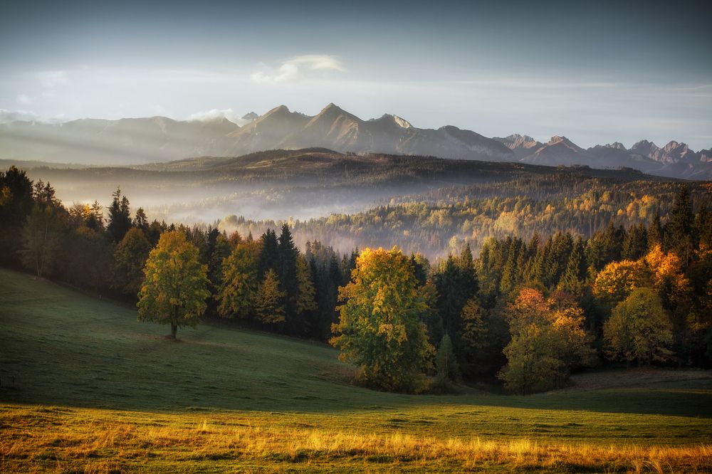 Photograph by Figat Marcin