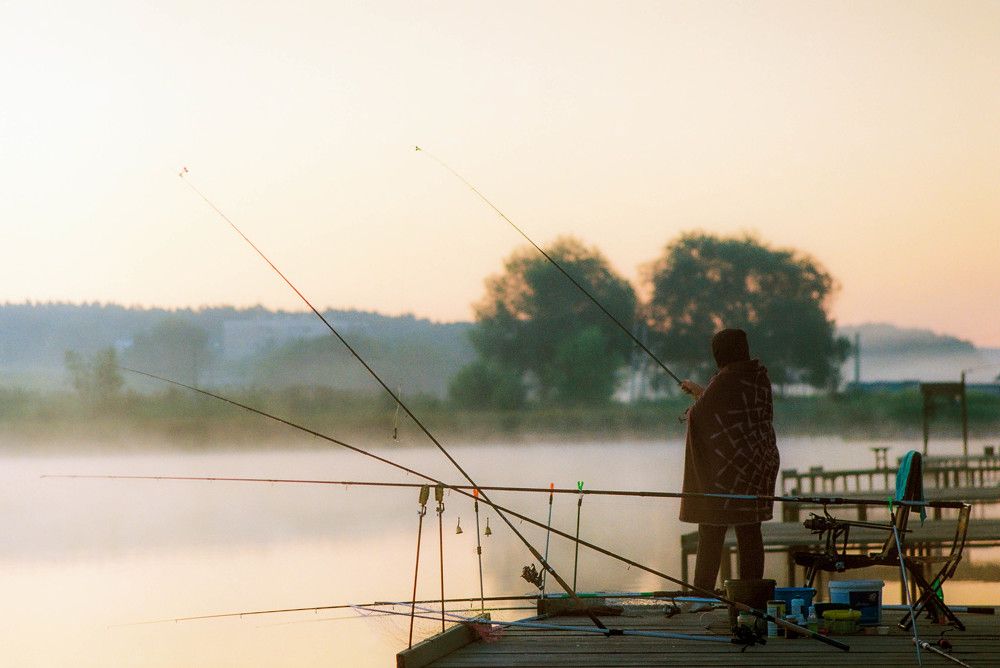 Photograph by Алексей Карпов