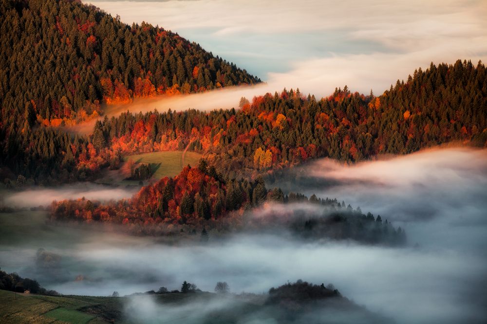 Photograph by Figat Marcin