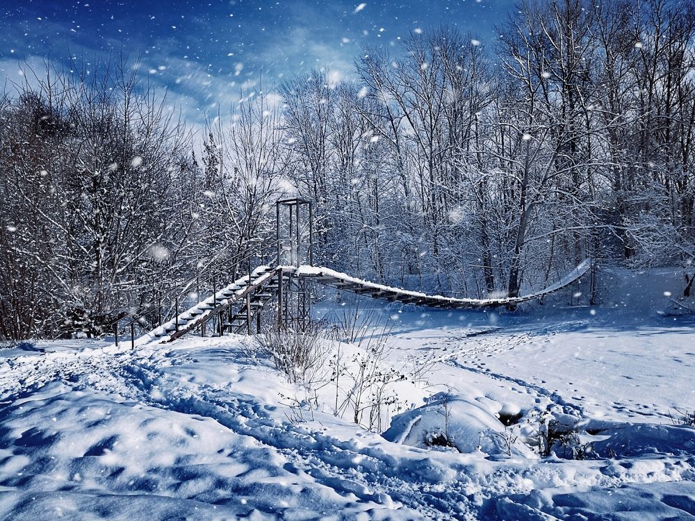 Photograph by Victoriia