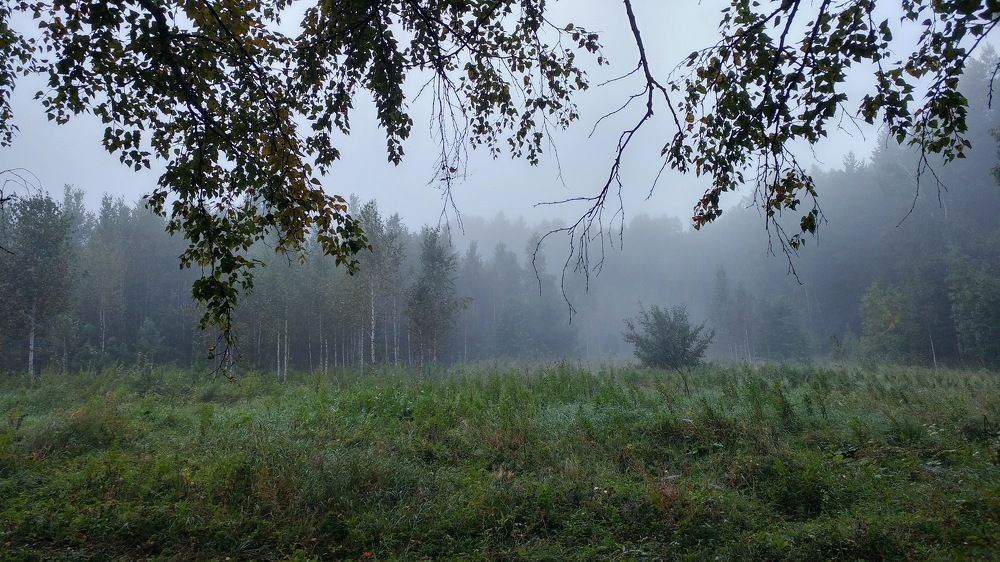 Photograph by Константин Степанов