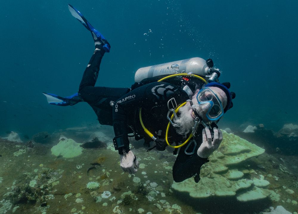 Photograph by H.D.D.A.Sampath Thilakarathna