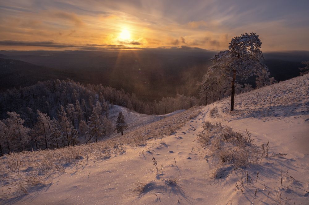 Photograph by Евгений Гецев