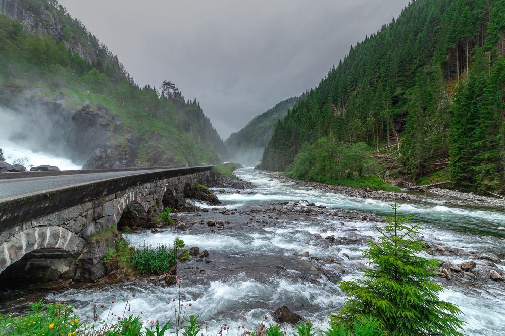 Фотография автора Alexander Pakhomov