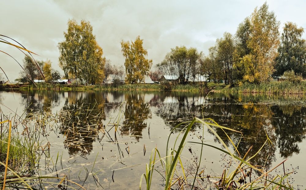 Photograph by Царёв Никита