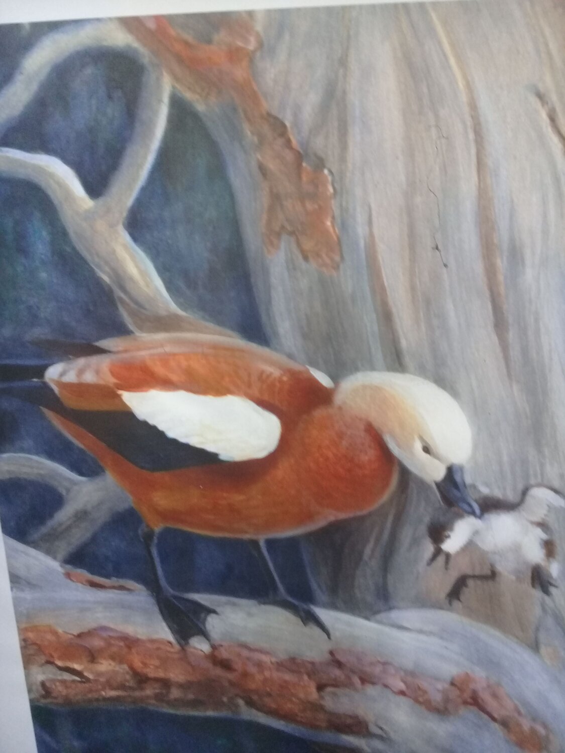 Photo #6762485