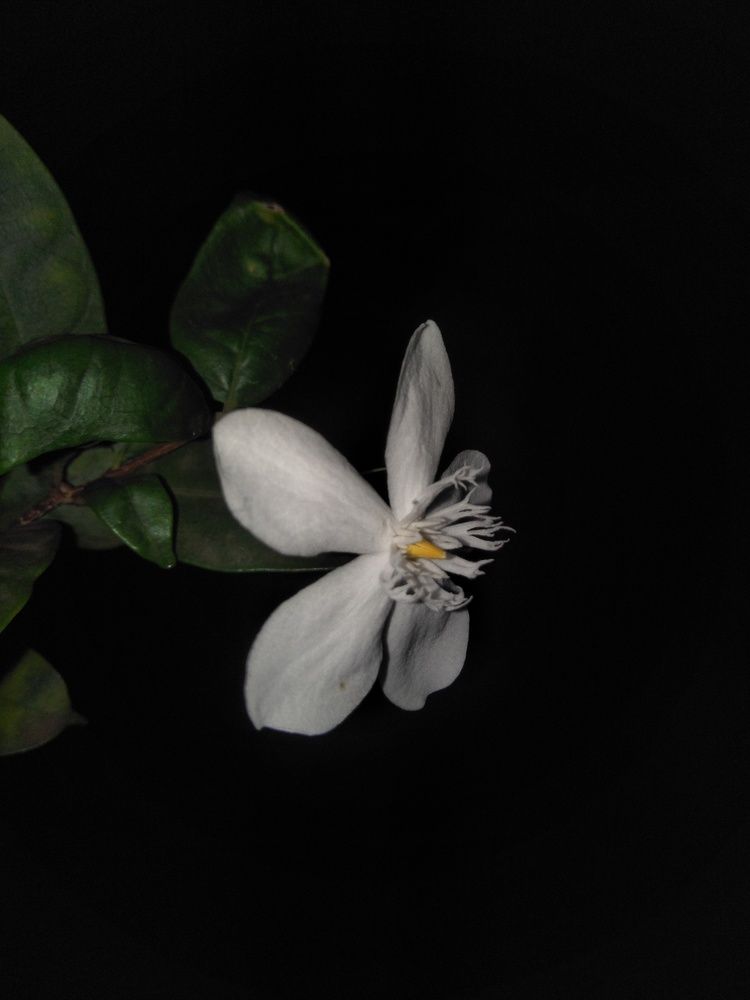 Photo #6762506