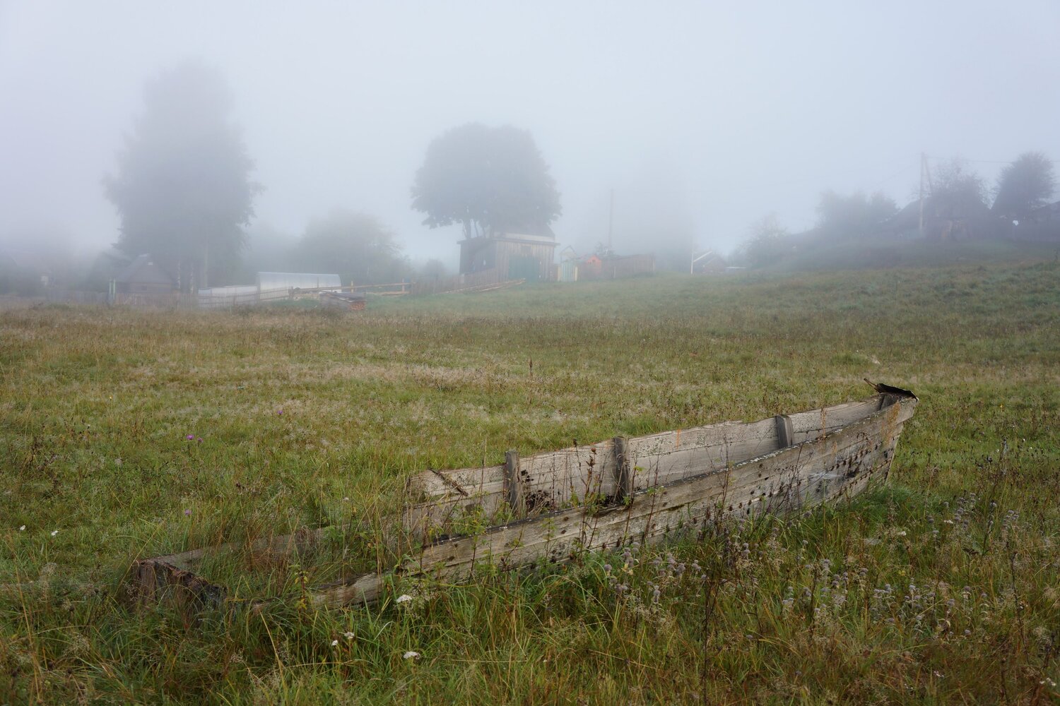 Photo #6762520