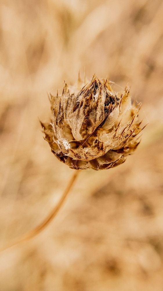 Photograph by Ирина Панкова