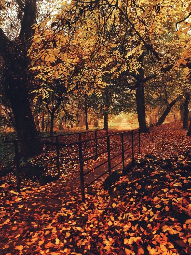 Photograph by Алёна Бондаренко