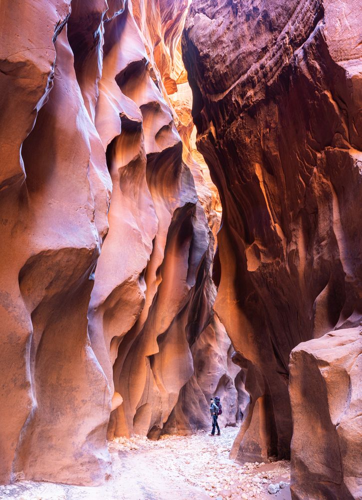 Photograph by Марина Маликова