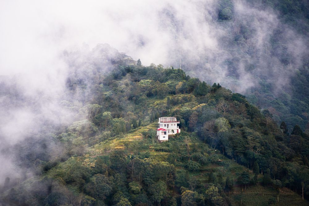 Photograph by Sayantan Basu