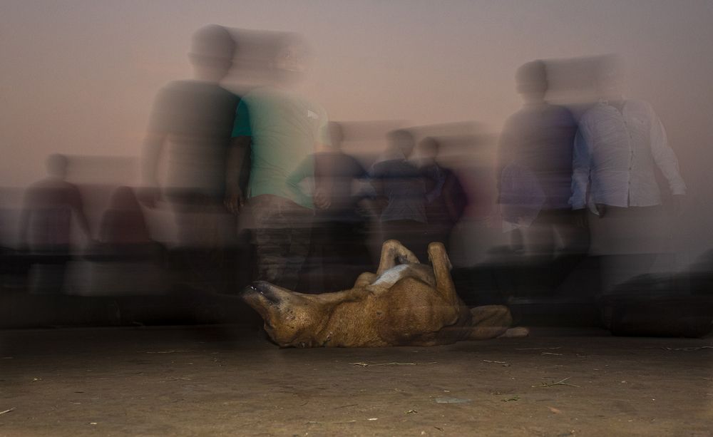 Photograph by Aniket Pal