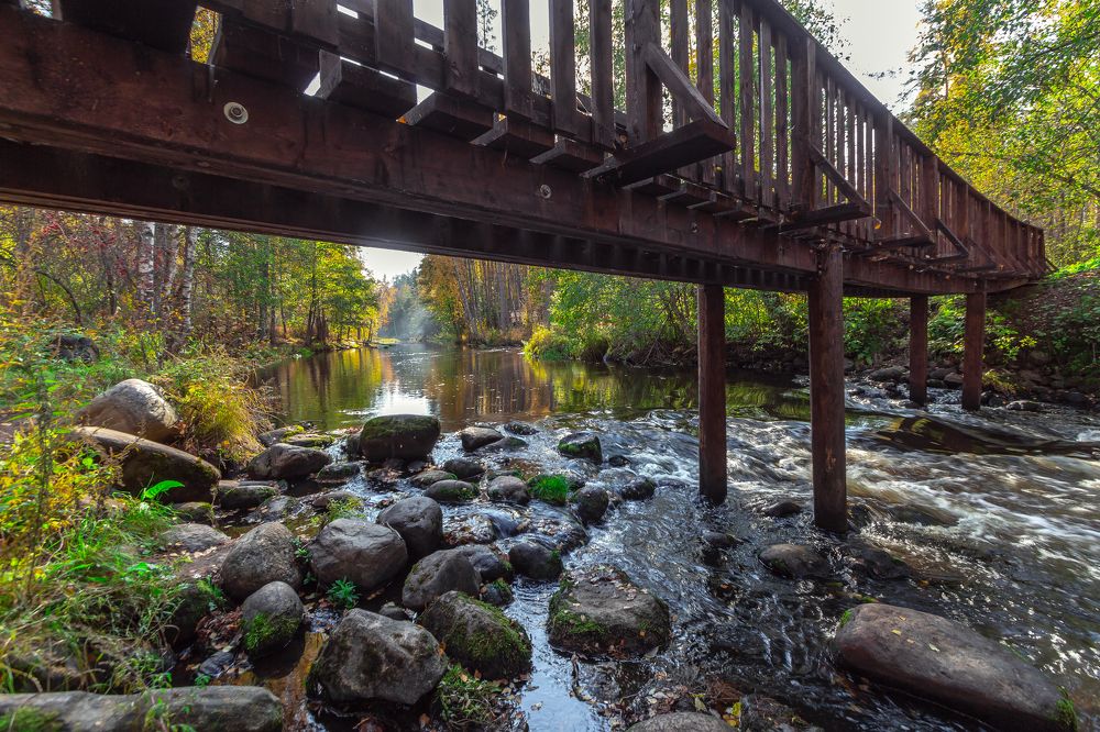 Лесная переправа